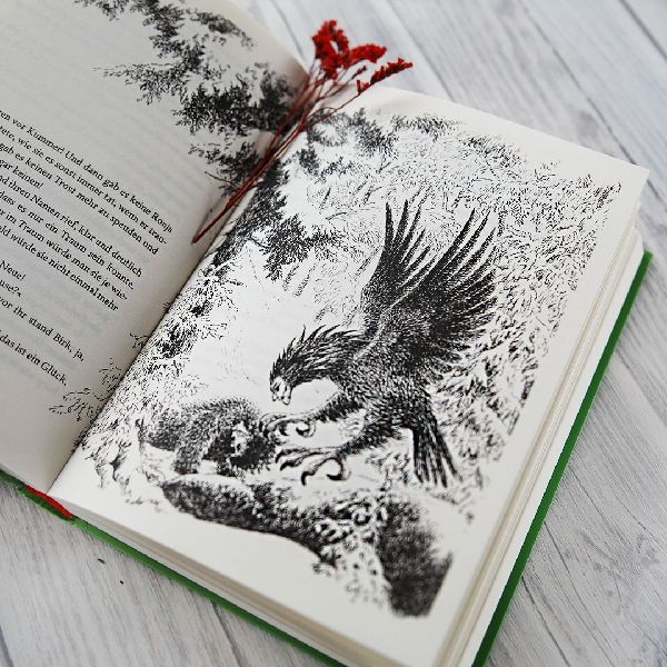 Produktbild: Ronja, Räubertochter