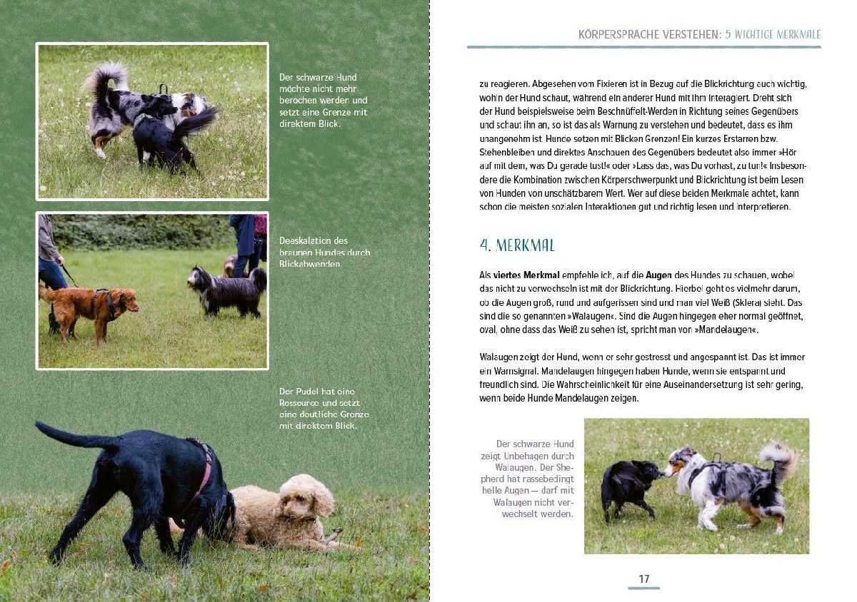 Produktbild: Das Hundesprachbuch