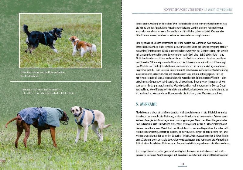 Produktbild: Das Hundesprachbuch