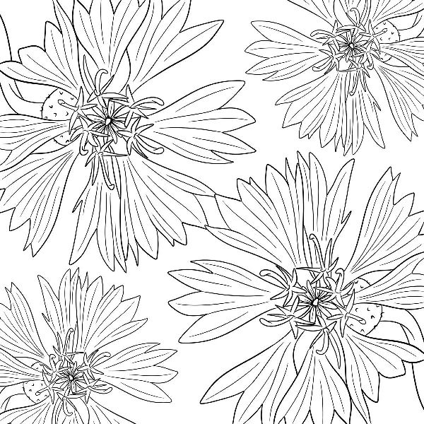 Produktbild: Colorful World - Blütentanz