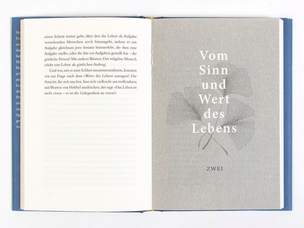Produktbild: Über den Sinn des Lebens