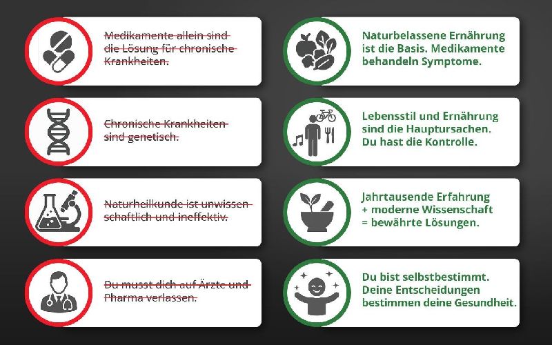 Produktbild: Die Krankheitslügen - Was man macht, um nicht krank zu werden.