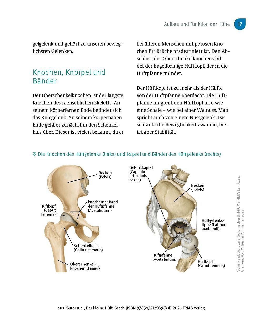 Produktbild: Der kleine Hüft-Coach