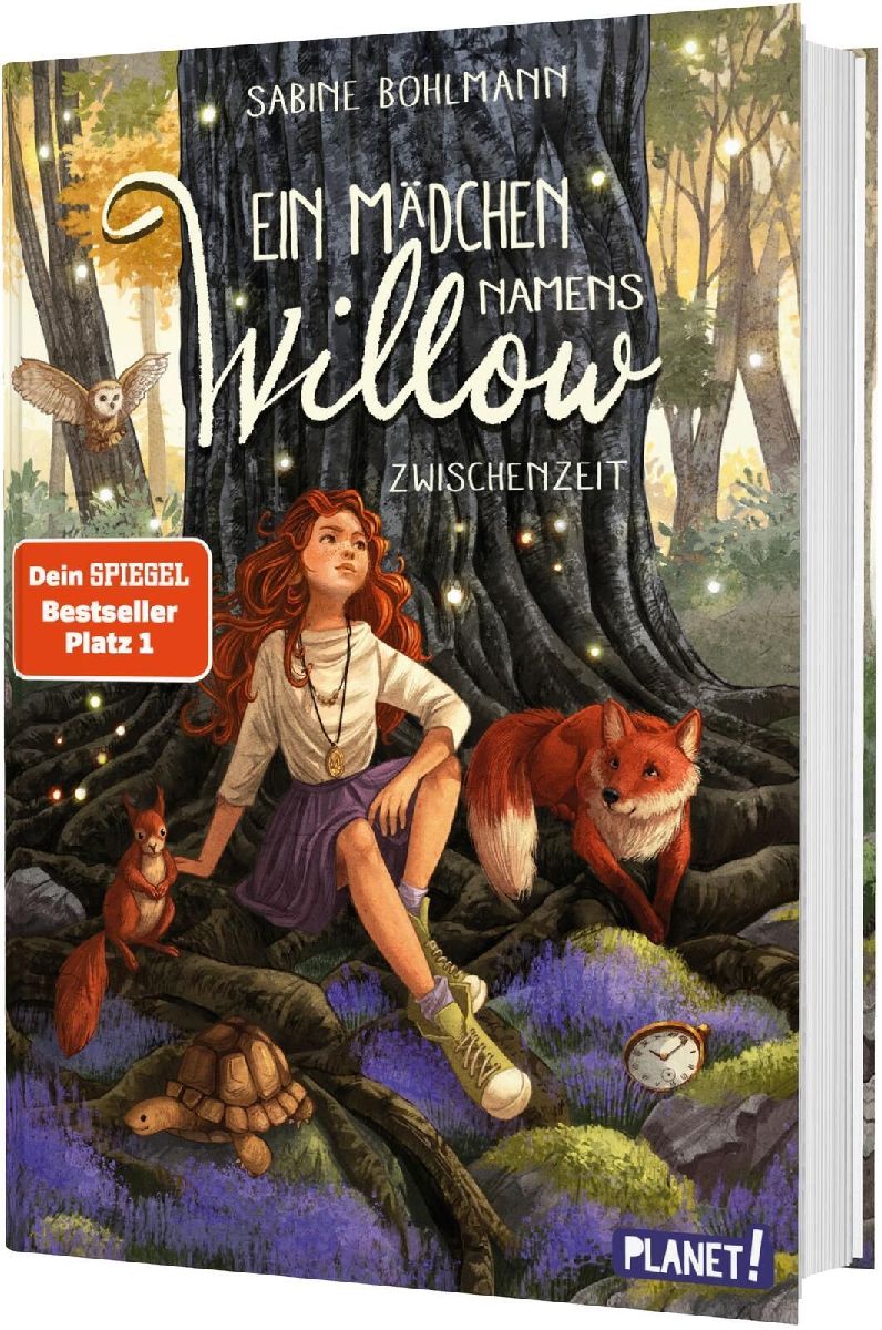 Produktbild: Ein Mädchen namens Willow 6: Zwischenzeit