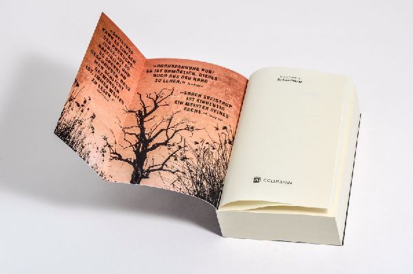 Produktbild: Der Kuckucksjunge