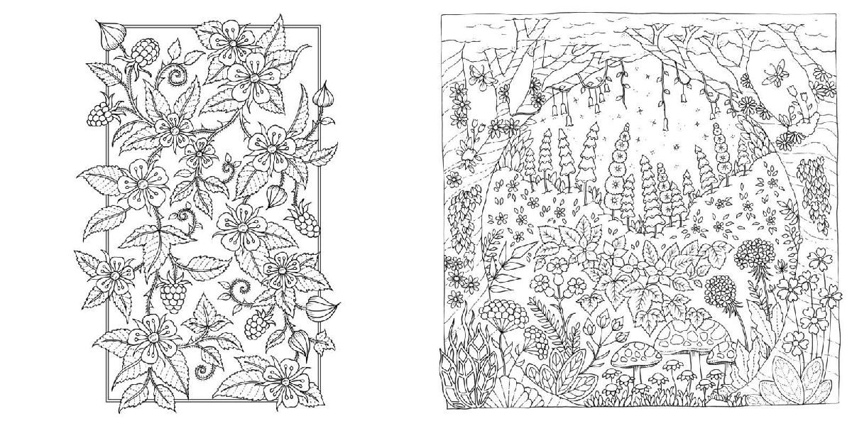 Produktbild: Wundervolle Wildblumen