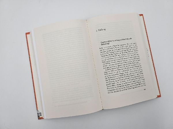 Produktbild: Als Licht das Dunkel durchdrang