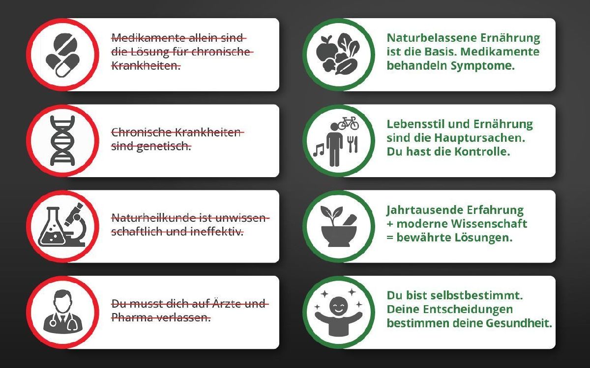 Produktbild: Die Krankheitslügen - Was man macht, um nicht krank zu werden.