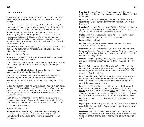 Produktbild: Der große BLV Pilzführer