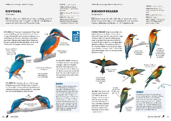 Produktbild: Das NABU-Vogelbuch