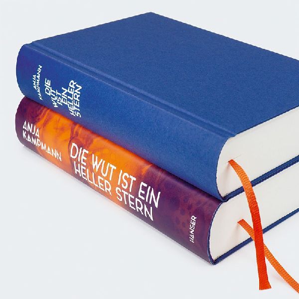 Produktbild: Die Wut ist ein heller Stern