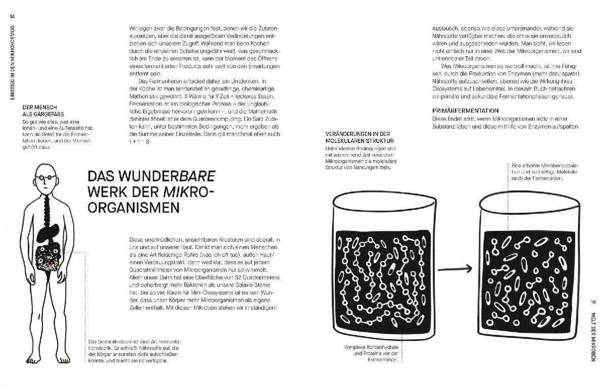 Produktbild: Fermentieren. Rezepte und Techniken für Geschmack, den man nicht kaufen kann