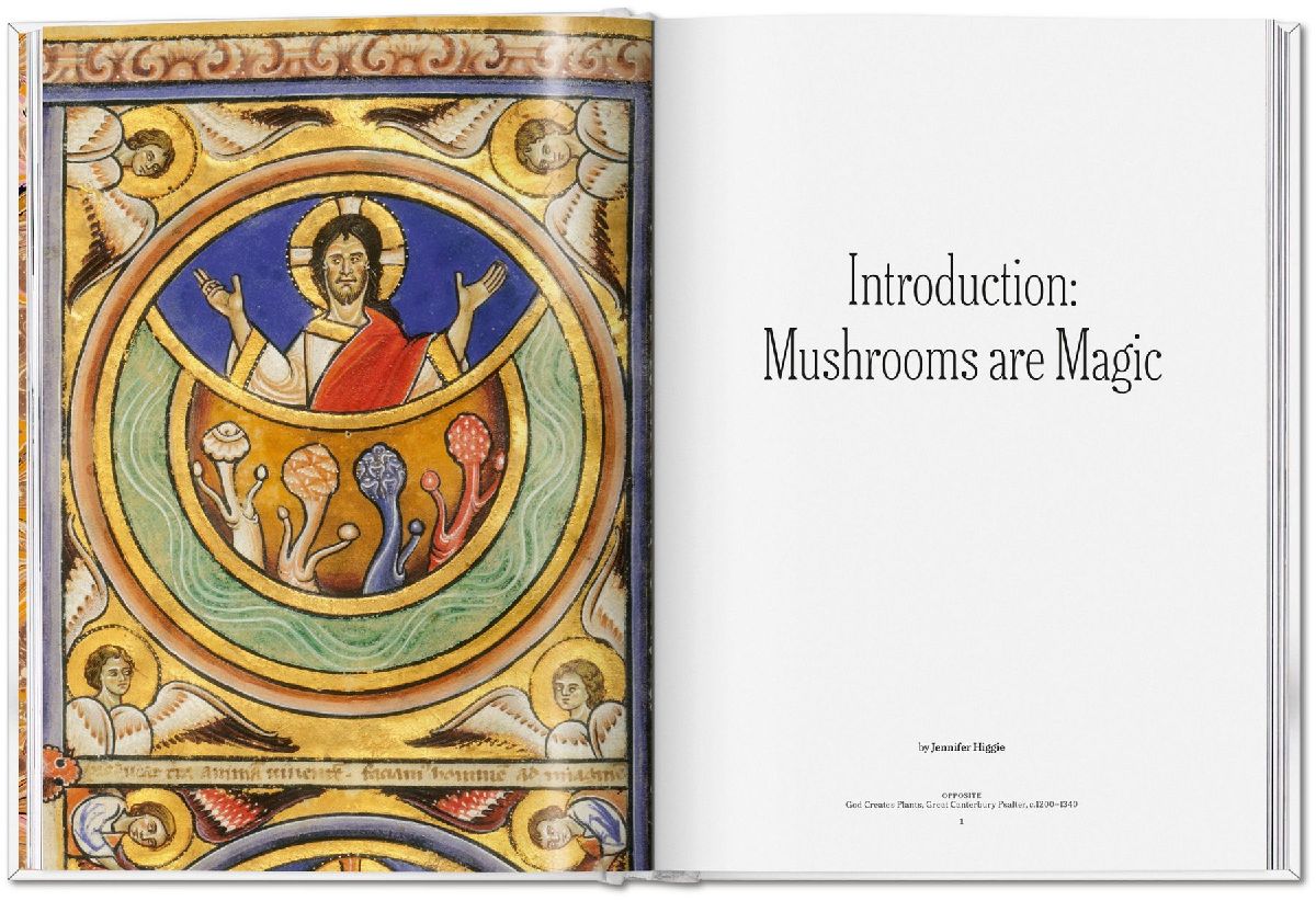 Produktbild: The Gourmand's Mushroom