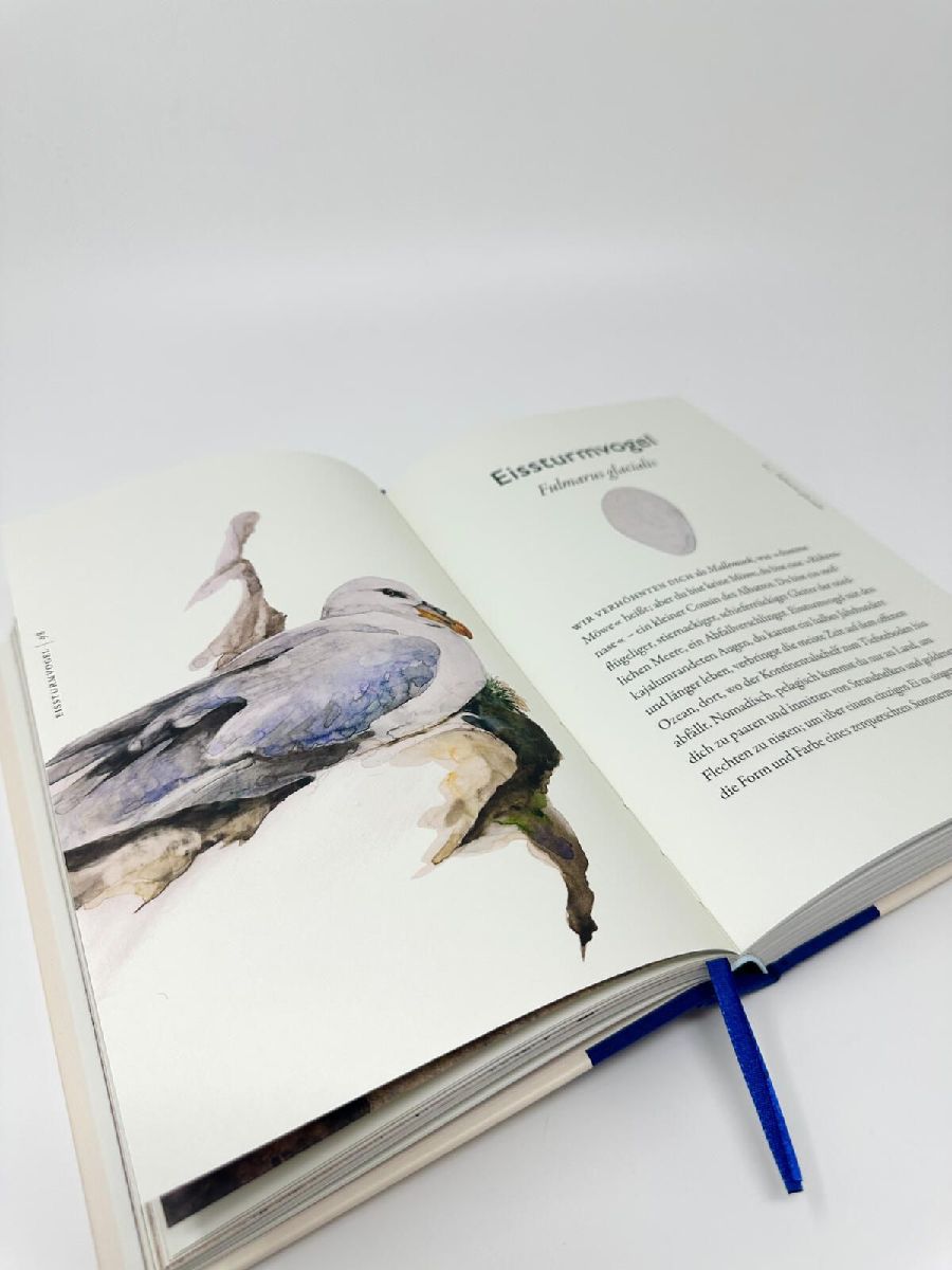 Produktbild: Das Buch der Vögel