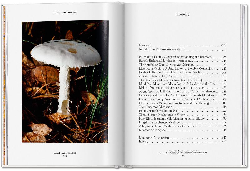 Produktbild: The Gourmand's Mushroom
