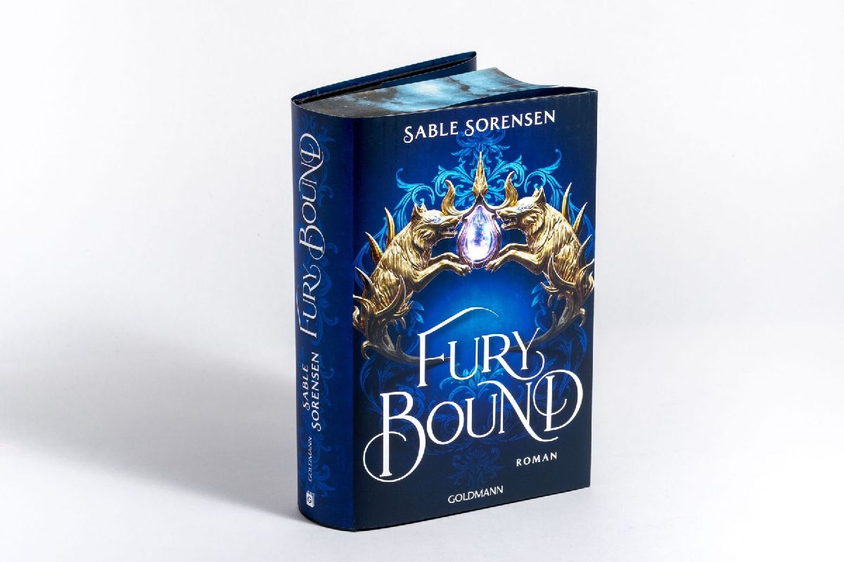 Produktbild: Fury Bound