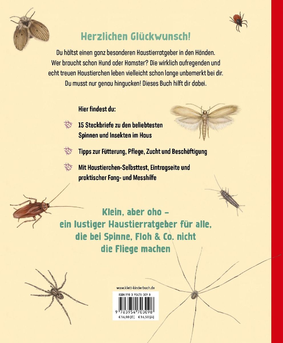 Produktbild: Hui, Spinne! Haustierchen halten für Anfänger