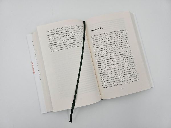 Produktbild: Frau im Mond