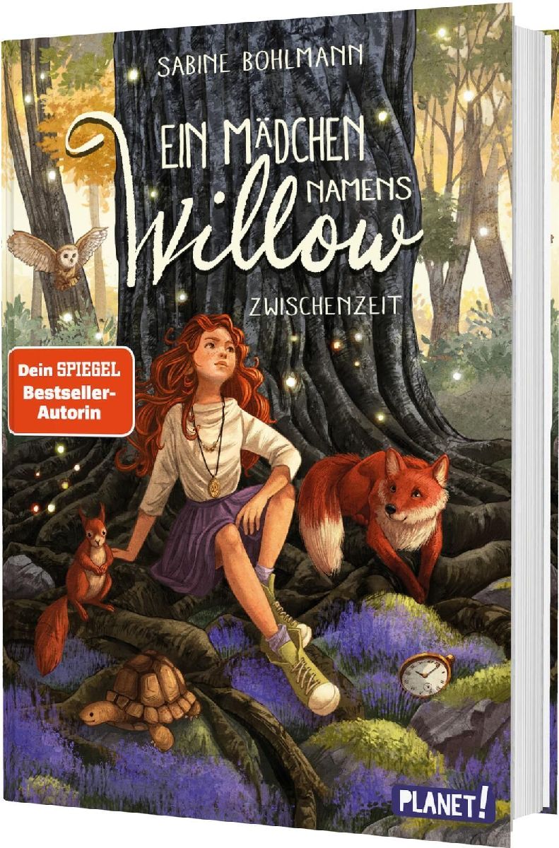 Produktbild: Ein Mädchen namens Willow 6: Zwischenzeit