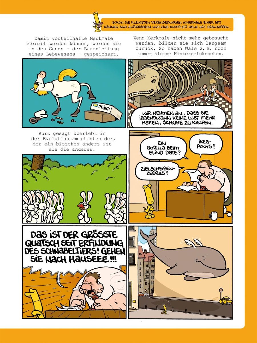 Produktbild: Frag Ferdinand: Natur und Tiere