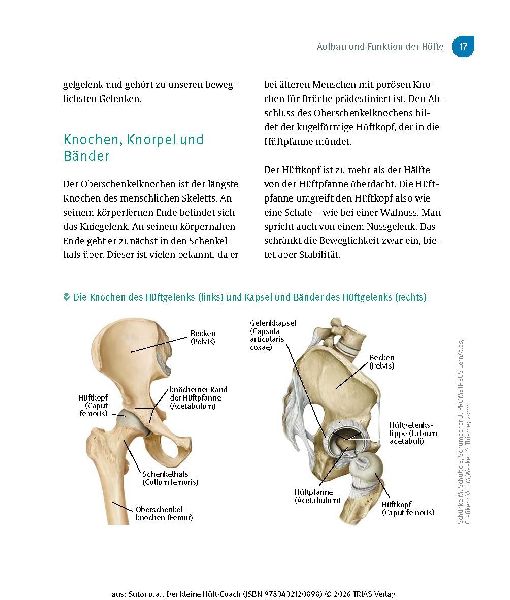 Produktbild: Der kleine Hüft-Coach