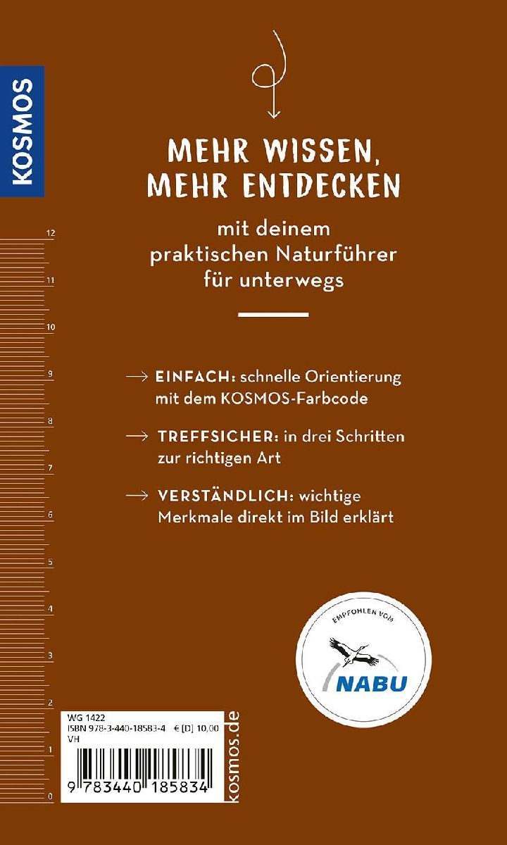 Produktbild: Pilze