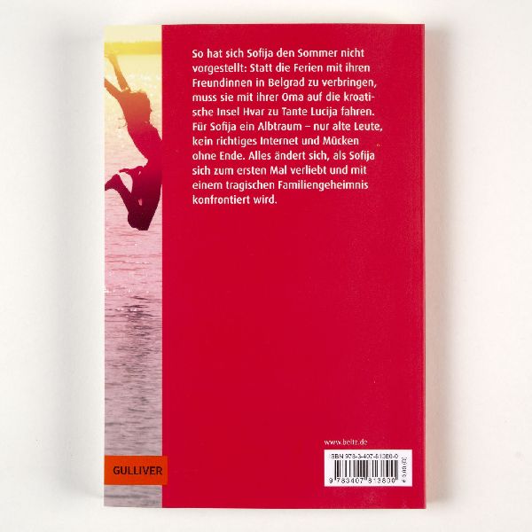 Produktbild: Der Sommer, als ich fliegen lernte