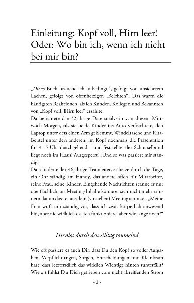 Produktbild: Kopf voll, Hirn leer