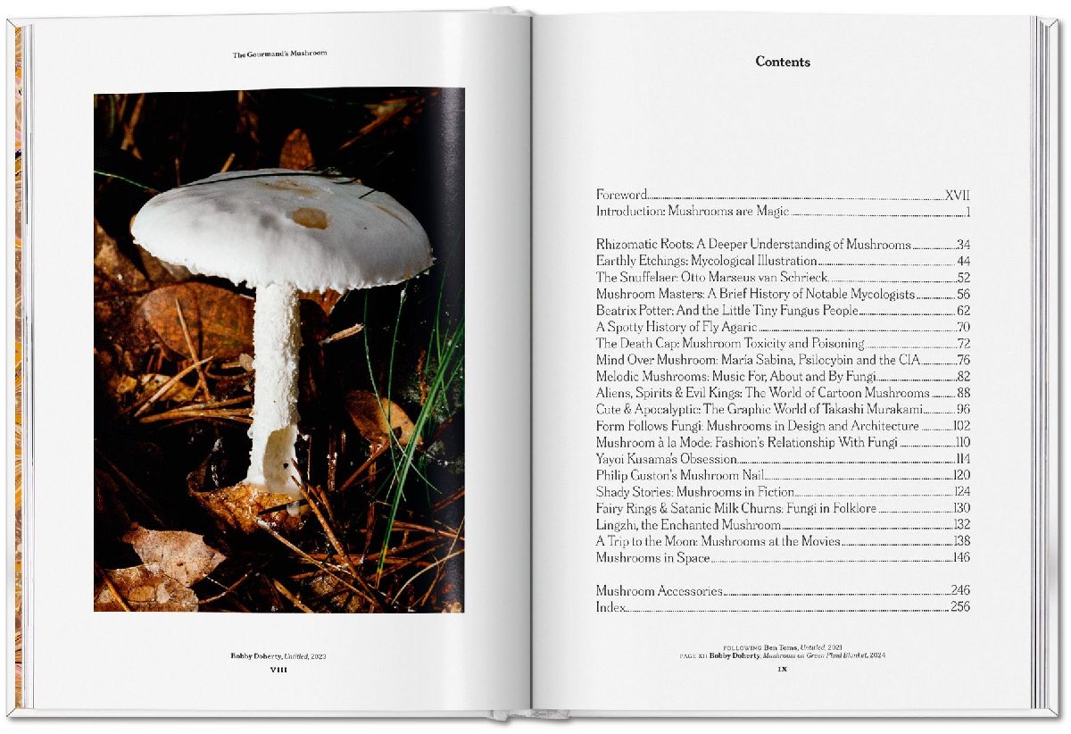 Produktbild: The Gourmand's Mushroom