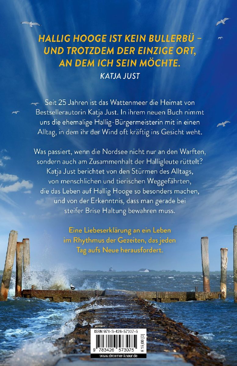 Produktbild: Gegenwind auf dem Sommerdeich