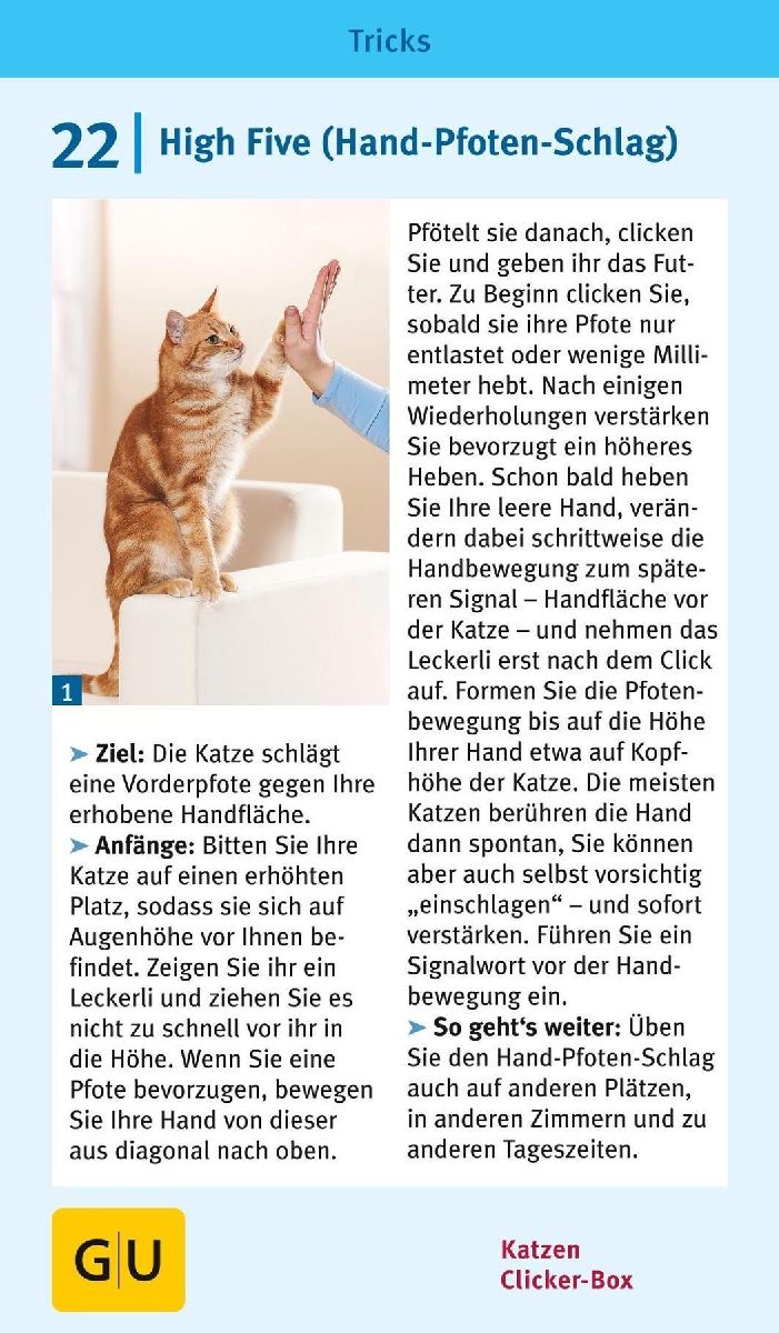 Produktbild: Katzen-Clicker-Box
