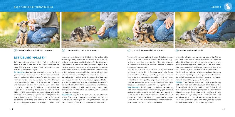 Produktbild: Welpen-Erziehung