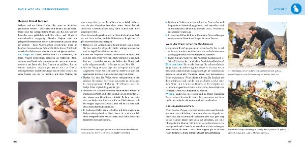 Produktbild: Welpen-Erziehung