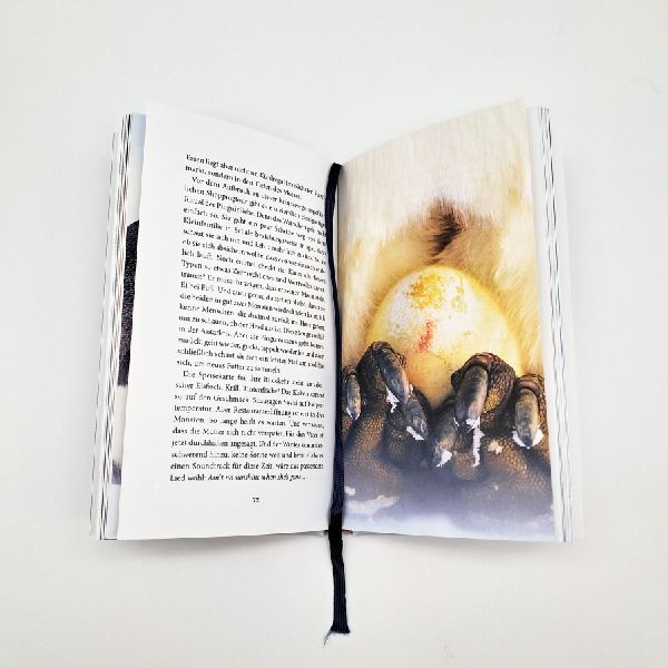 Produktbild: Der Pinguin, der fliegen lernte