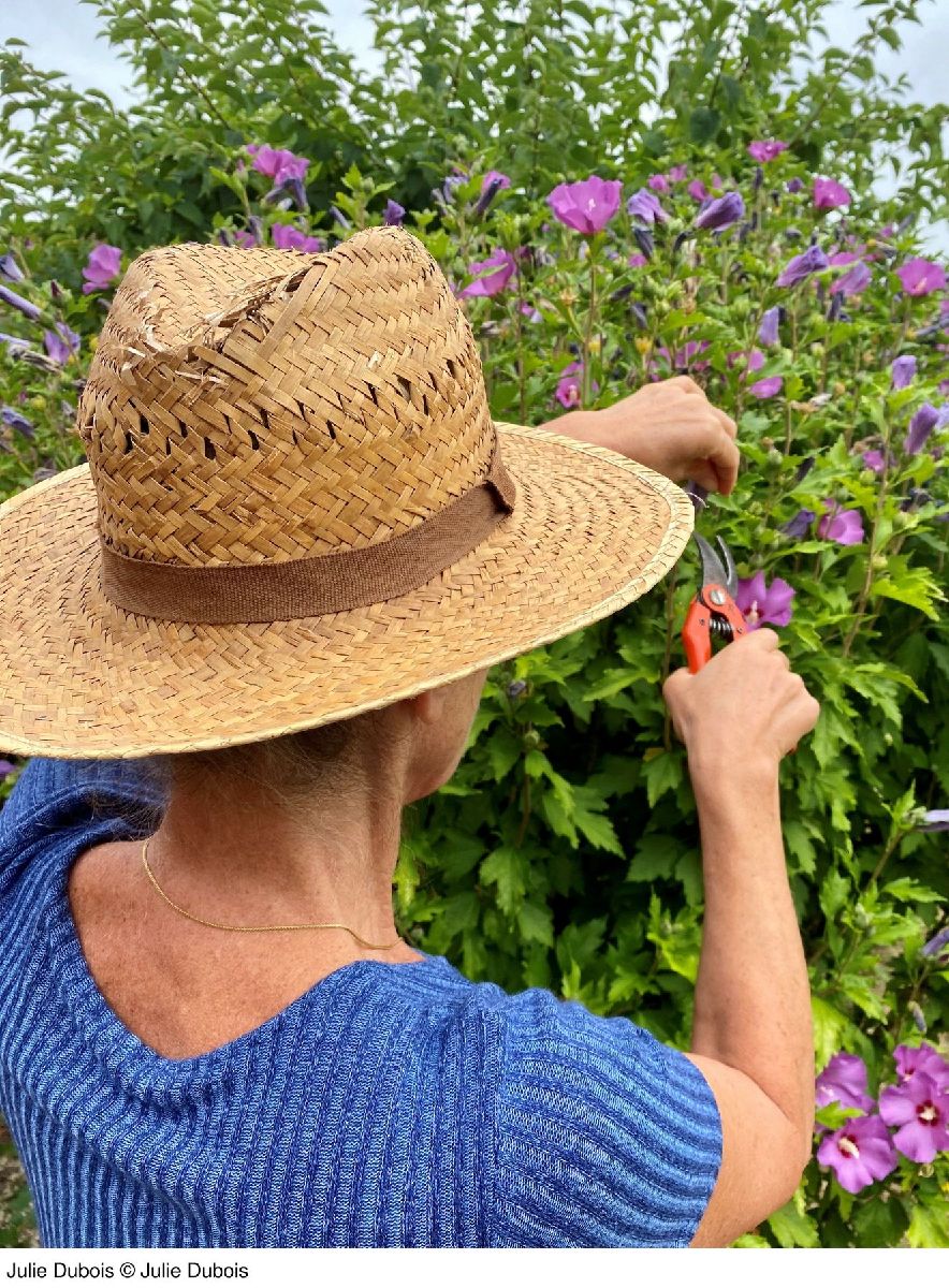 Produktbild: Geheimes Paradies