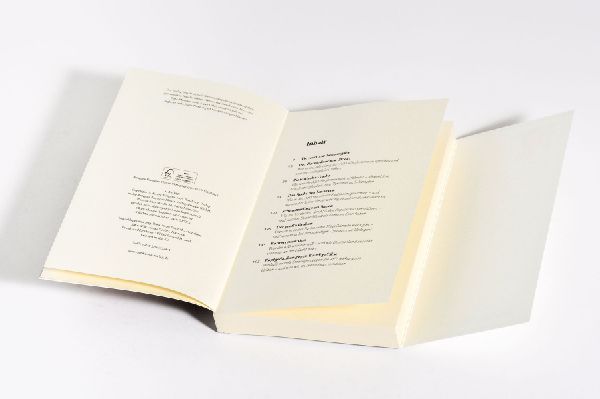 Produktbild: Was will die AfD?