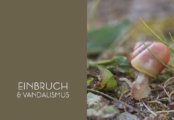 Produktbild: Mord im Nacktschnecken-Milieu