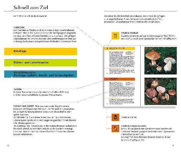 Produktbild: Essbare Pilze und ihre giftigen Doppelgänger