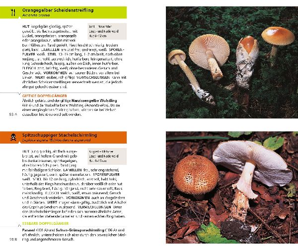 Produktbild: Essbare Pilze und ihre giftigen Doppelgänger