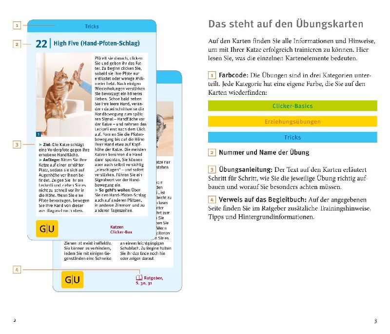 Produktbild: Katzen-Clicker-Box