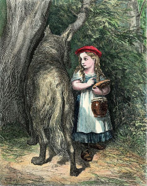 Produktbild: Bildband Wölfe - Begegnungen in freier Wildbahn: Deutschlands wilde Wölfe kehren zurück - Ein einmaliges Erlebnis von Wildnis und Natur mit 190 außergewöhnlichen Fotos