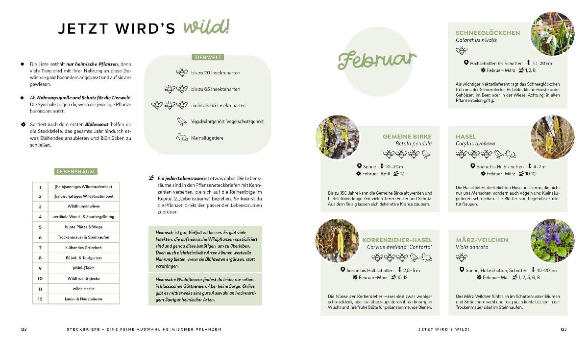 Produktbild: Mein wilder, bunter Garten - Einfach naturnah gärtnern