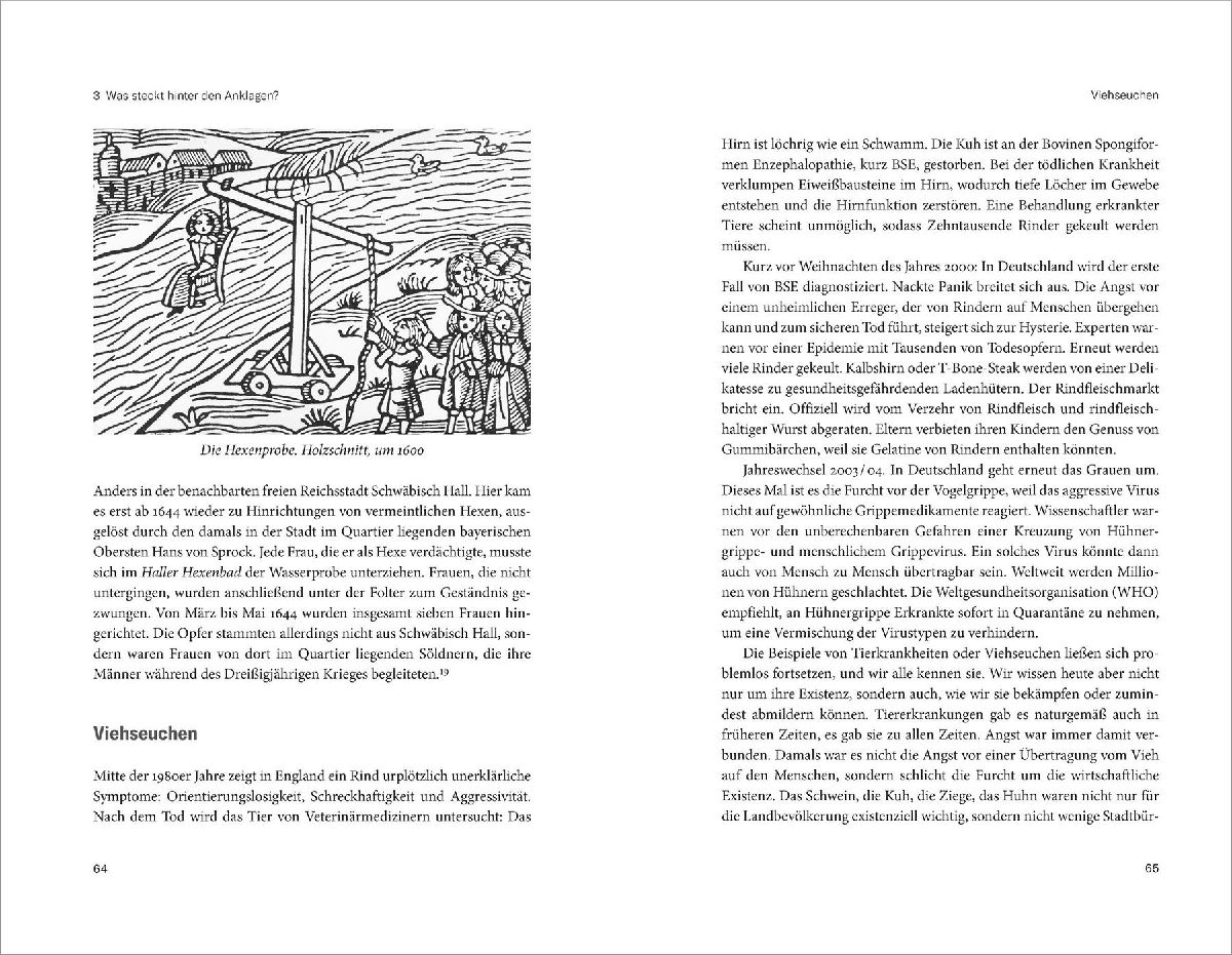 Produktbild: Hexen vor Gericht!