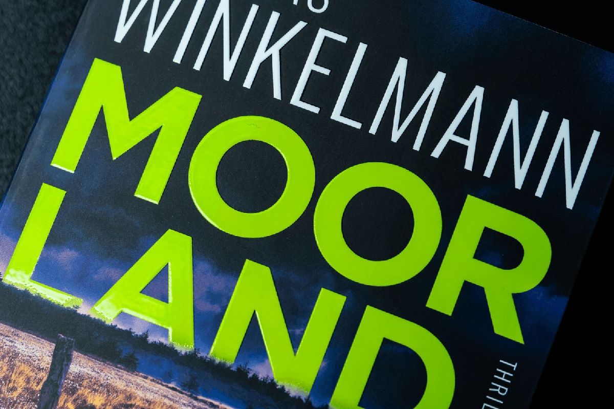 Produktbild: Moorland. Die Zwillinge