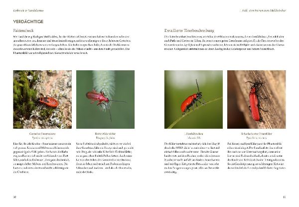 Produktbild: Mord im Nacktschnecken-Milieu