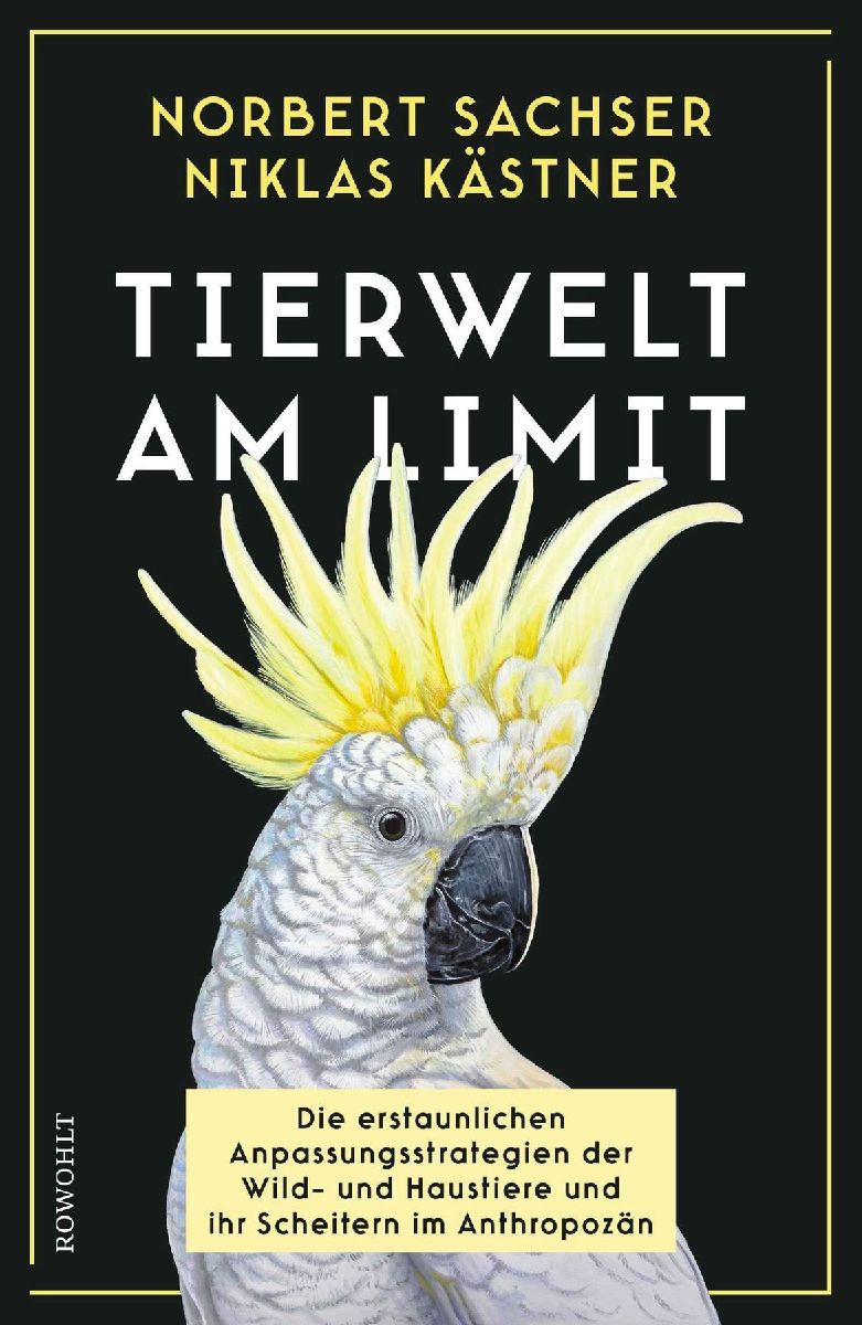 Produktbild: Tierwelt am Limit
