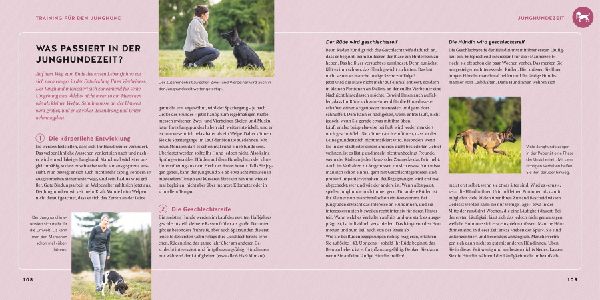 Produktbild: Welpen-Erziehung