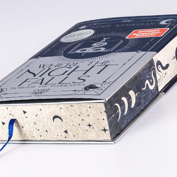 Produktbild: Where the Night Falls (School of Darkness 1)