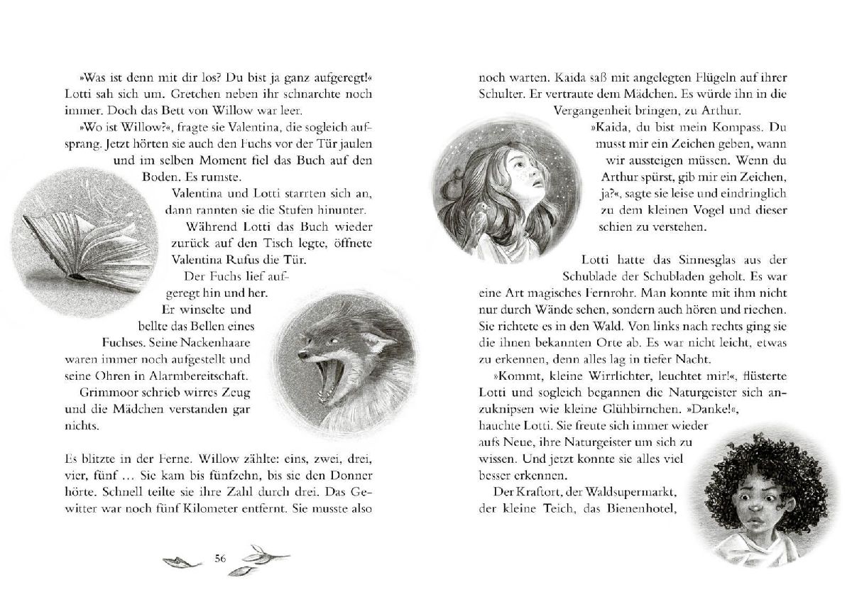 Produktbild: Ein Mädchen namens Willow 6: Zwischenzeit