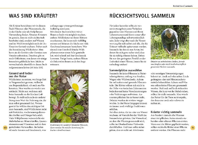 Produktbild: Wildkräuter am Blatt erkennen